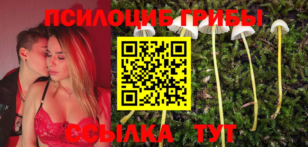 Псилоцибиновые грибы прущие грибы Обнинск