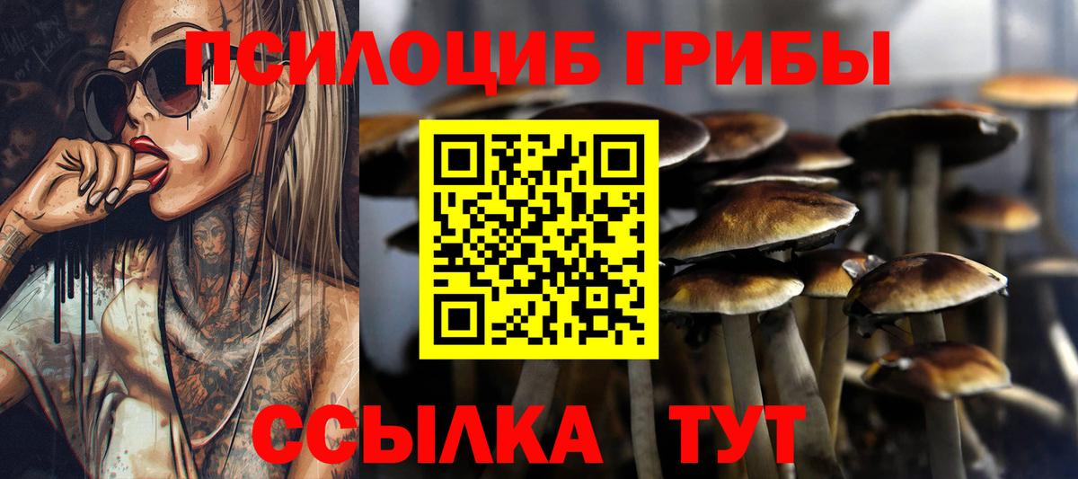 Обнинск  Псилоцибиновые грибы ЛСД  Вход с VPN  Псилоцибиновые грибы мухоморы 